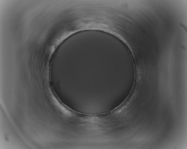 X0000099951525200806061530