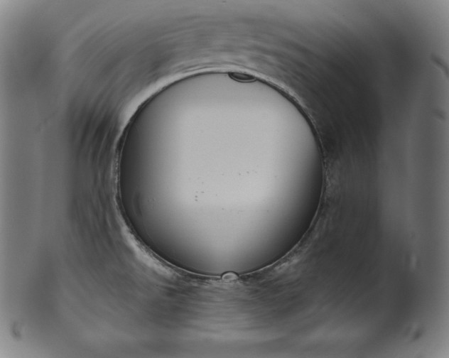 X0000099951526200806061530