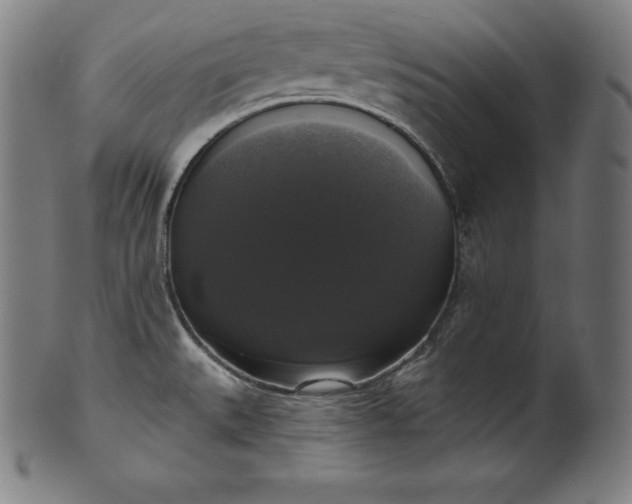 X0000099951527200806061530