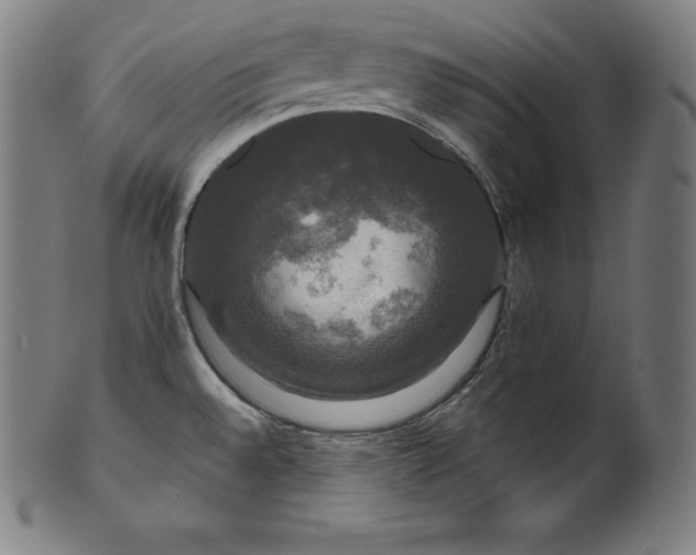 X0000099951528200806061530