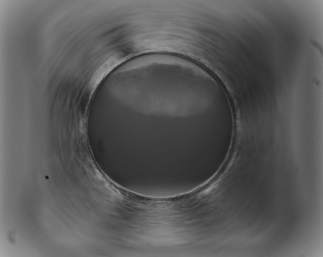 X0000099951529200806061530