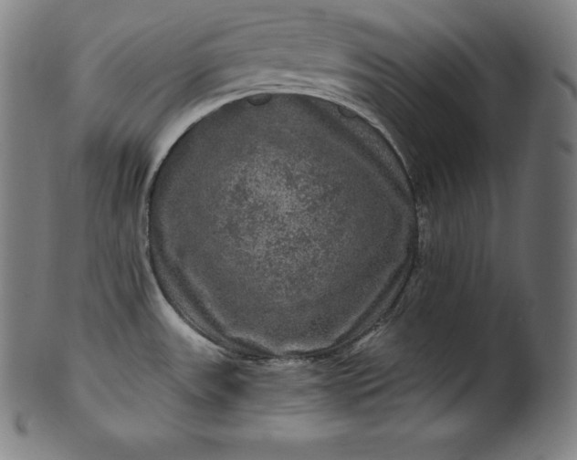 X0000099951531200806061530