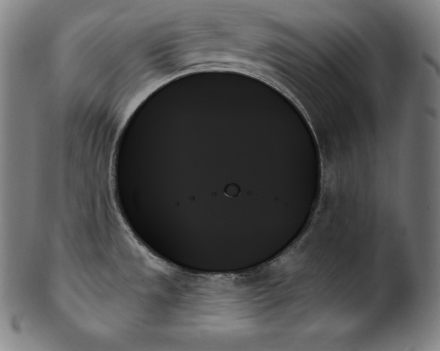 X0000099951533200806061530