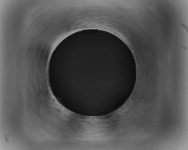 X0000099951536200806061530