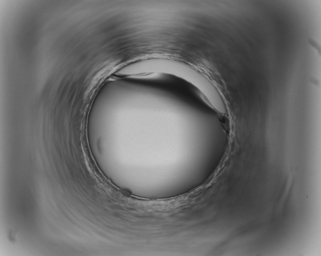 X0000099950001200806131458