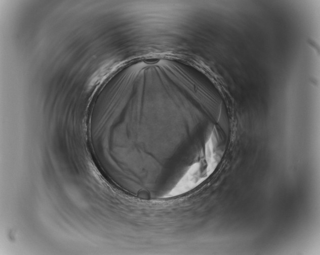 X0000099950002200806131458