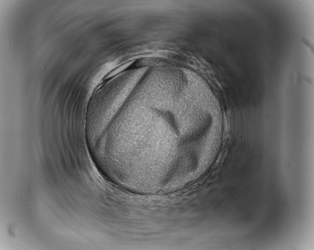 X0000099950003200806131458