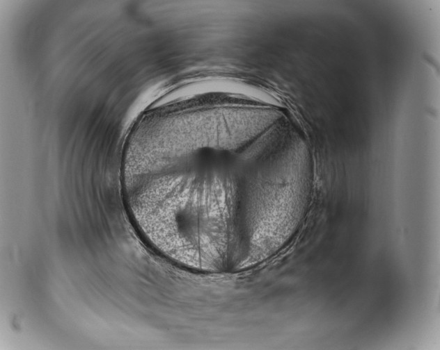 X0000099950004200806131458