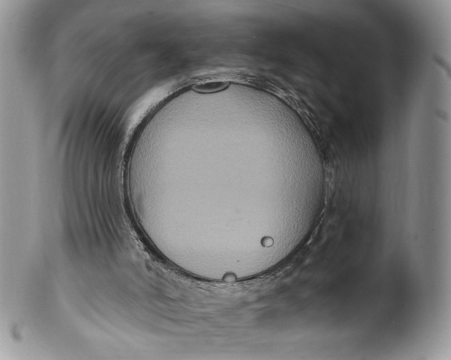 X0000099950006200806131458