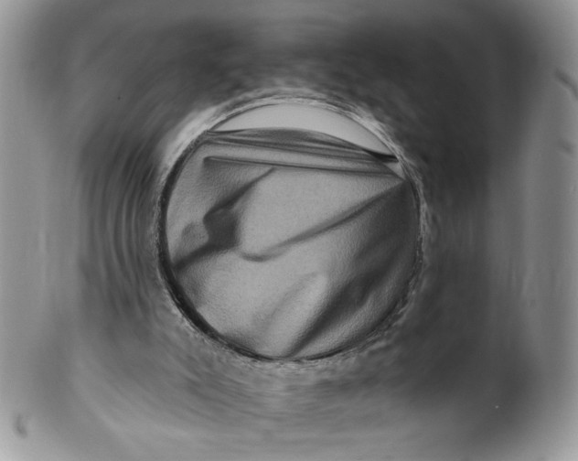 X0000099950007200806131458