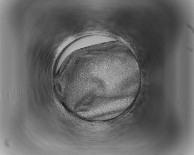 X0000099950008200806131458