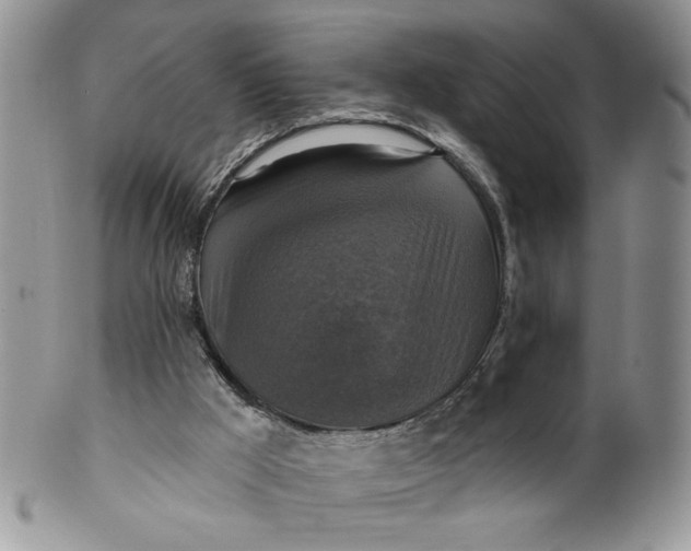 X0000099950009200806131457