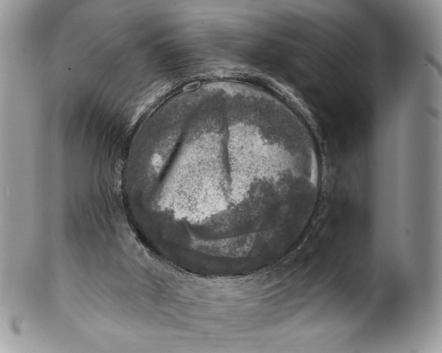 X0000099950010200806131457