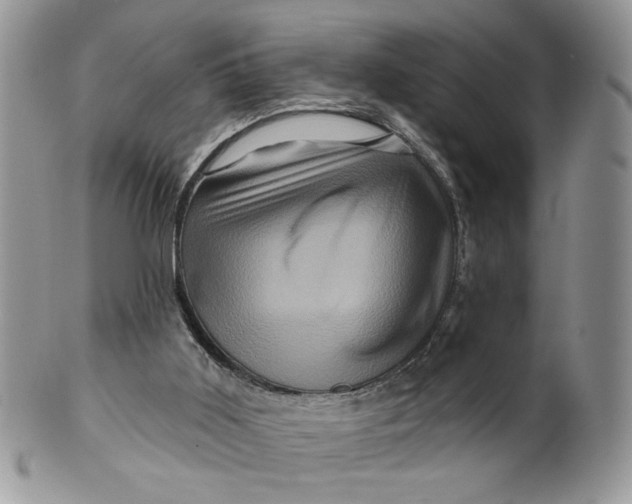 X0000099950011200806131457