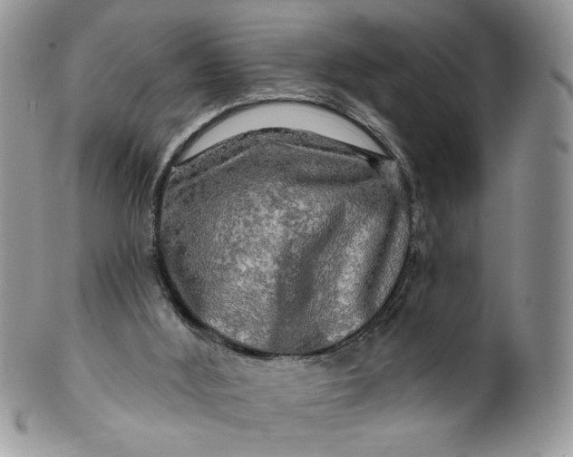 X0000099950012200806131457