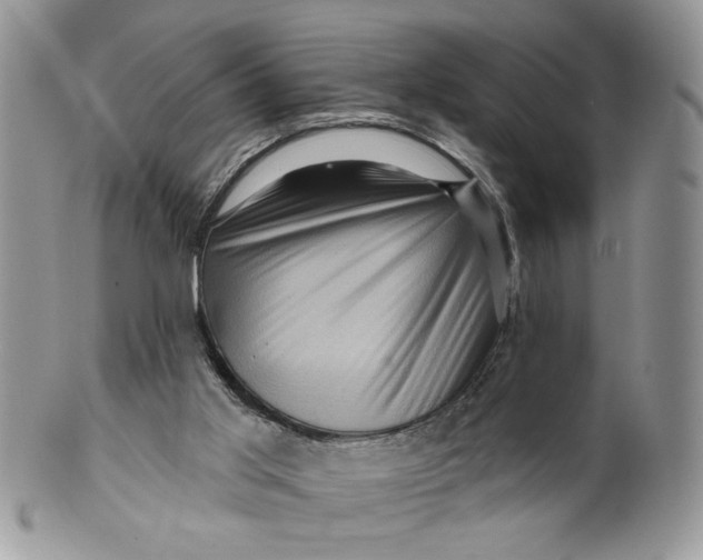 X0000099950013200806131457