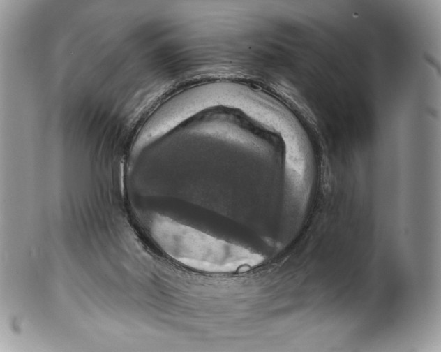 X0000099950014200806131457