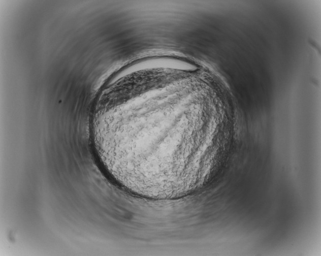 X0000099950015200806131457