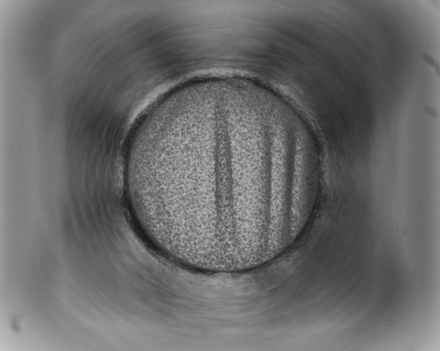 X0000099950016200806131457