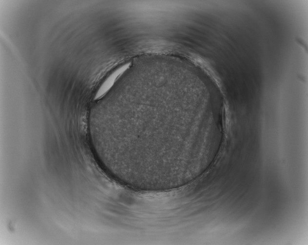 X0000099950017200806131457