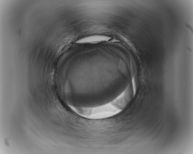 X0000099950018200806131457