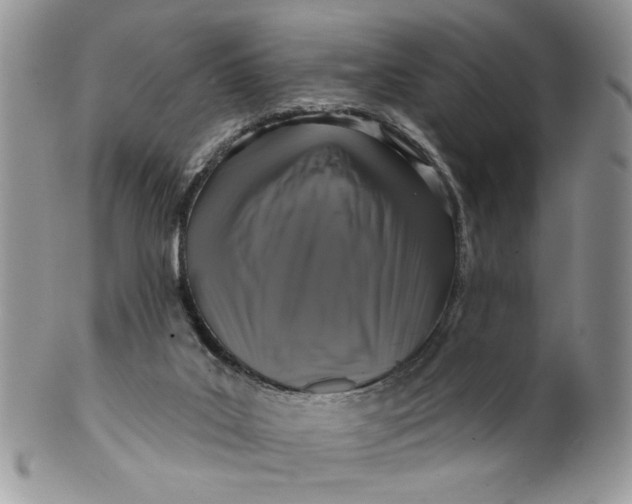X0000099950019200806131457