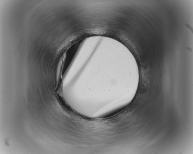 X0000099950020200806131457
