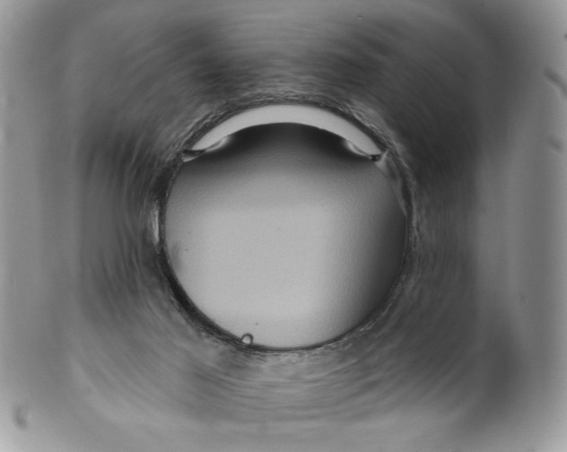 X0000099950021200806131457