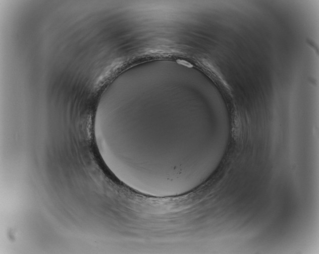 X0000099950023200806131457