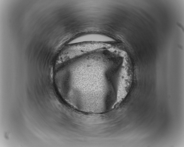 X0000099950024200806131457