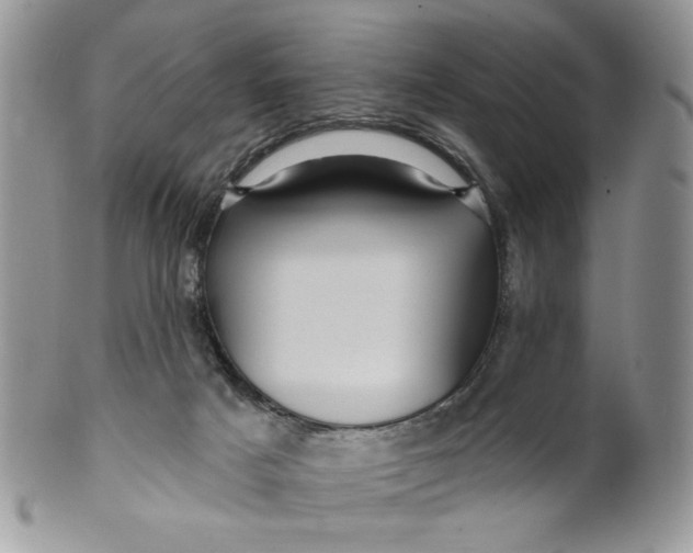 X0000099950025200806131457
