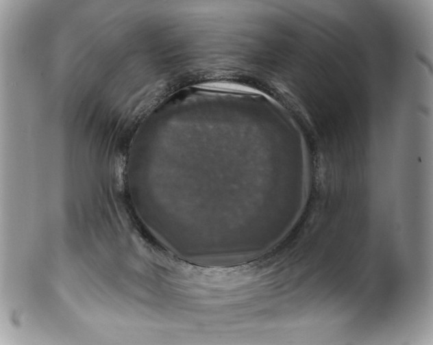 X0000099950026200806131457
