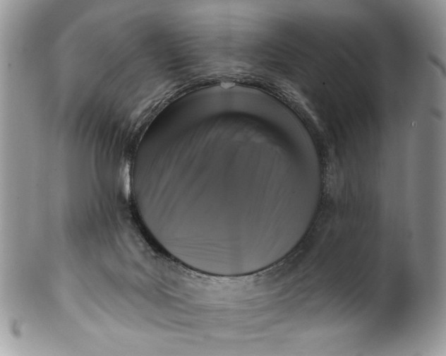 X0000099950027200806131457