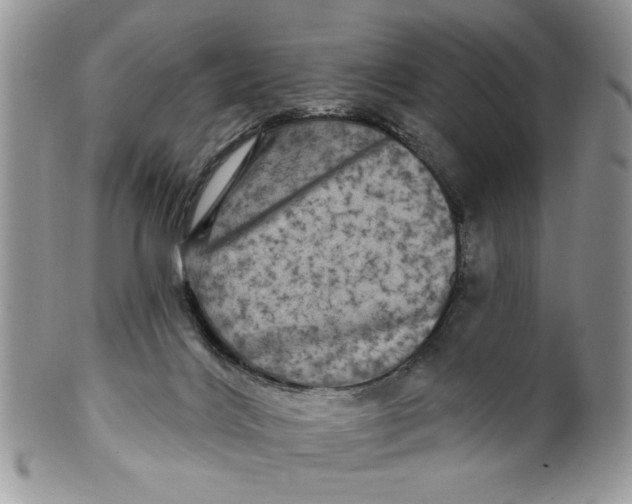 X0000099950028200806131457