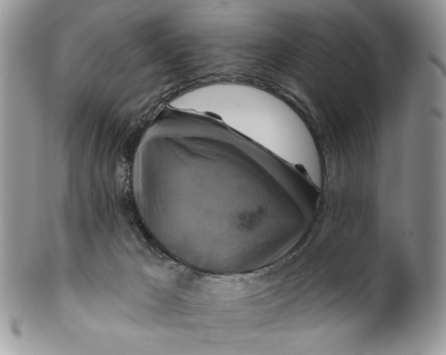 X0000099950029200806131457