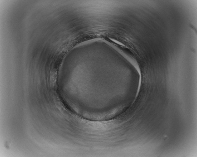 X0000099950030200806131457
