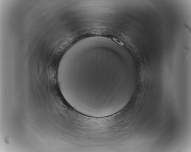 X0000099950031200806131457