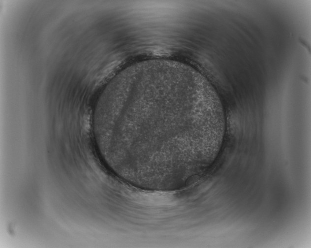 X0000099950032200806131457