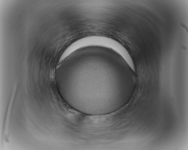 X0000099950033200806131457