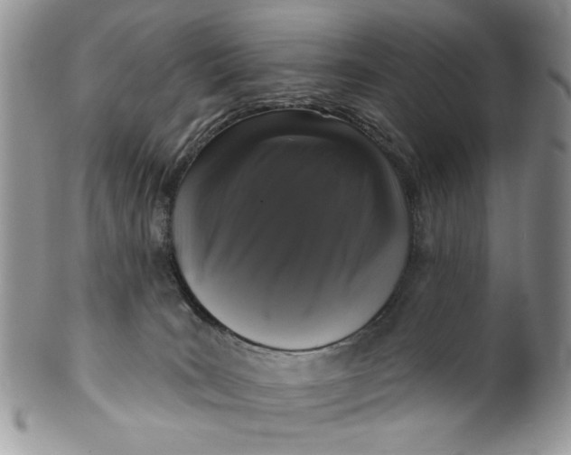X0000099950035200806131457