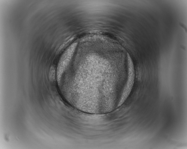 X0000099950036200806131457