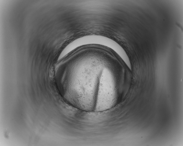 X0000099950037200806131457