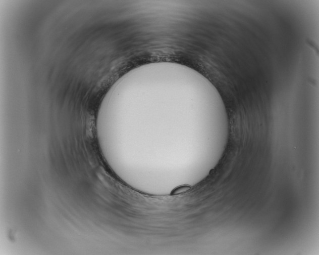 X0000099950038200806131457