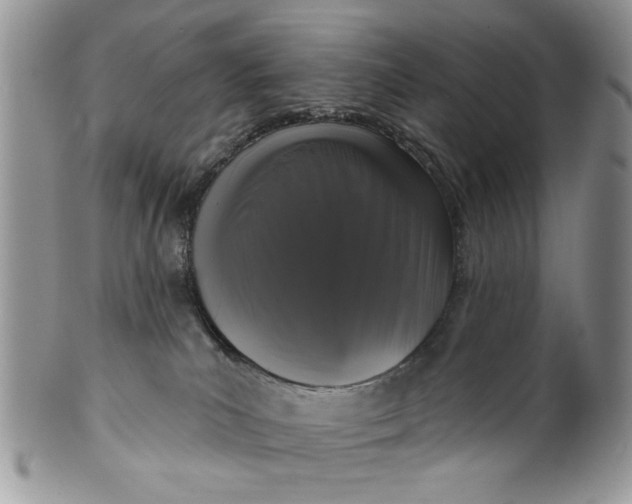 X0000099950039200806131457