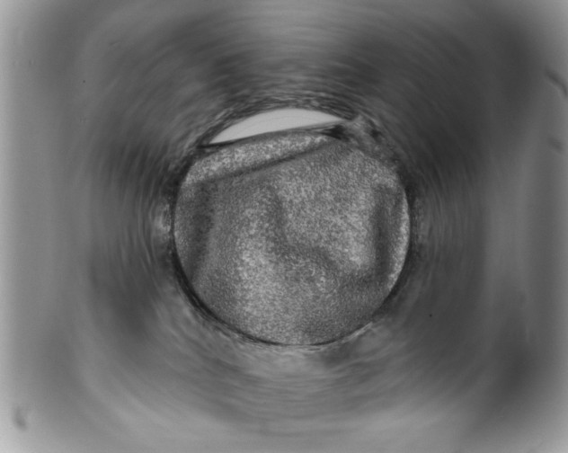 X0000099950040200806131457