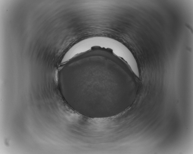 X0000099950041200806131457