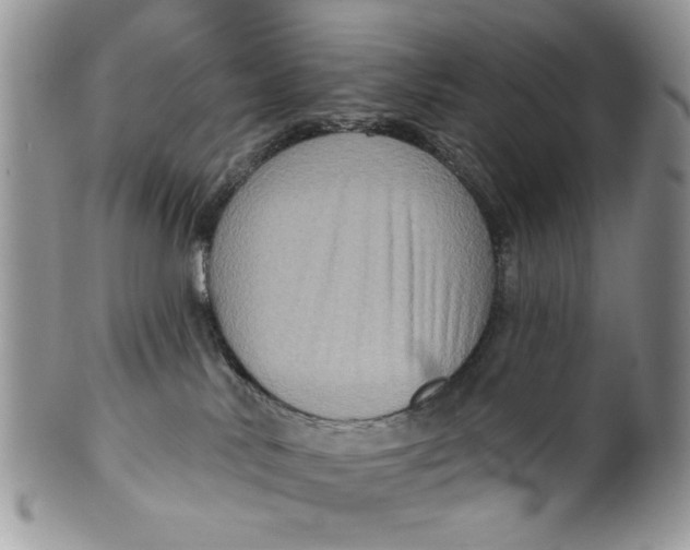 X0000099950042200806131457