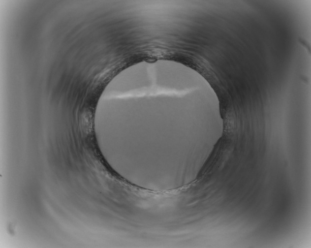 X0000099950043200806131457