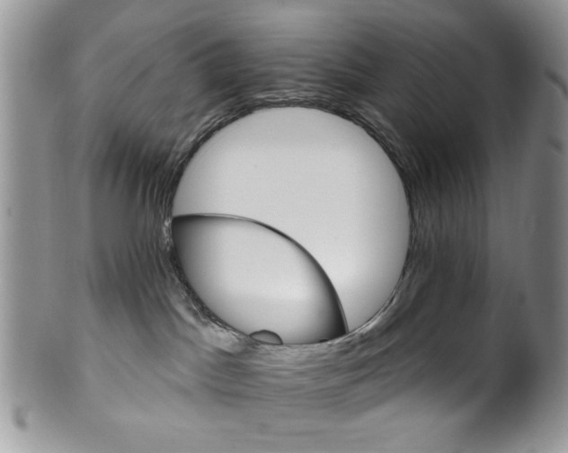 X0000099950045200806131457