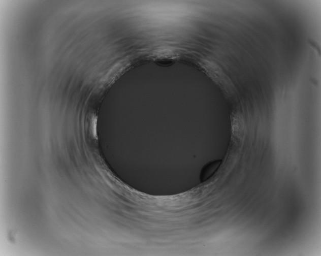 X0000099950046200806131457